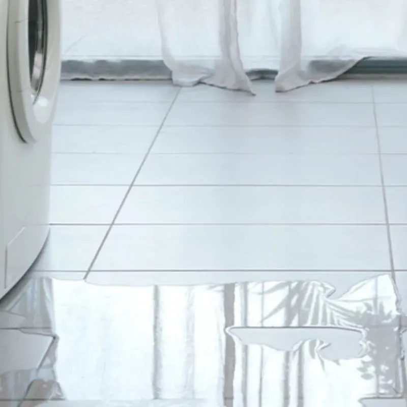Appliance Leak Cleanup in Port Dickinson, NY
