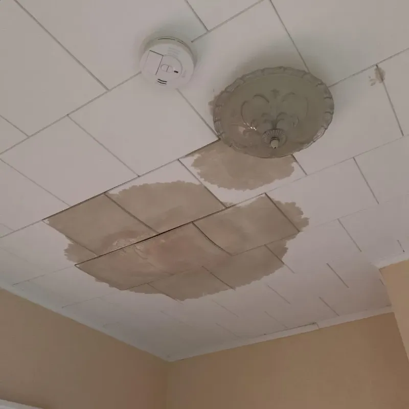 Ceiling Water Damage Repair in Port Dickinson, NY