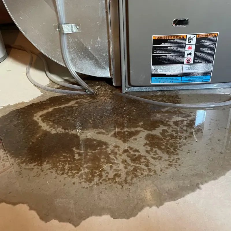 Pipe Burst and Leak Restoration in Port Dickinson, NY